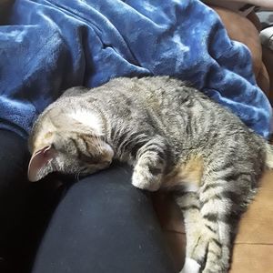 Meet your Posher, Beverly